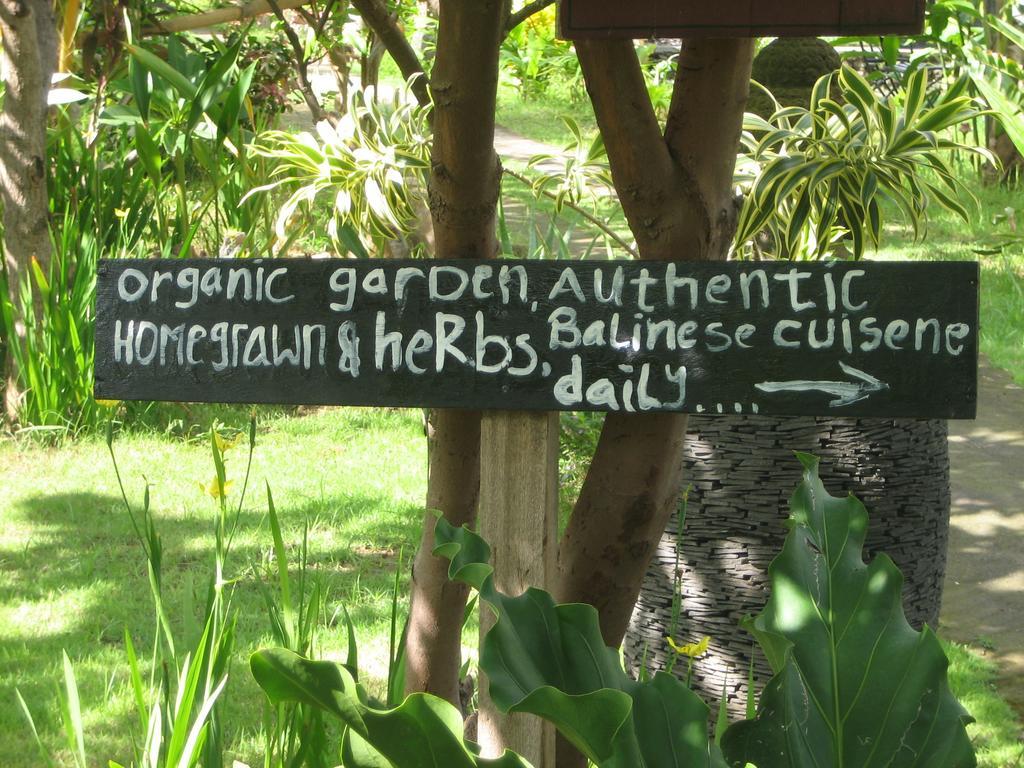 Amed Harmony Bungalows And Villas 外观 照片